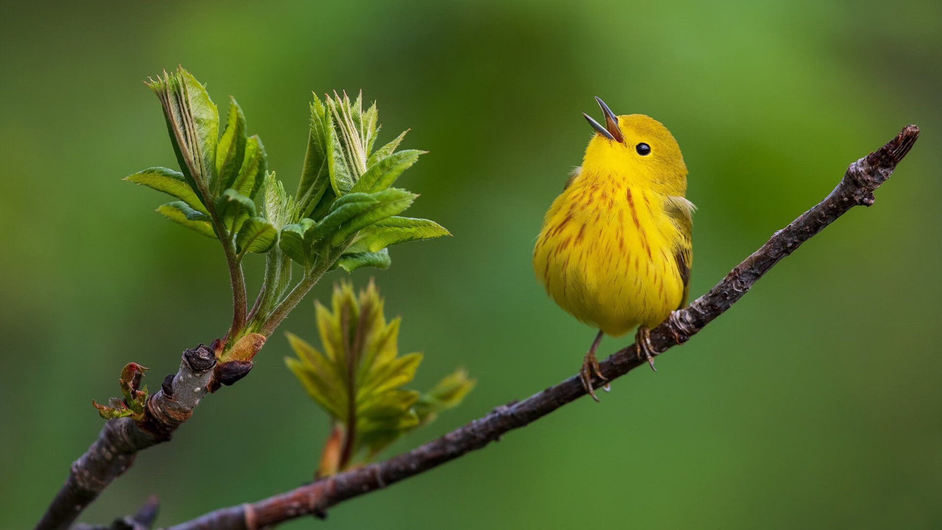 许昕降维打击,一场球拍掀翻足球场的东方神话