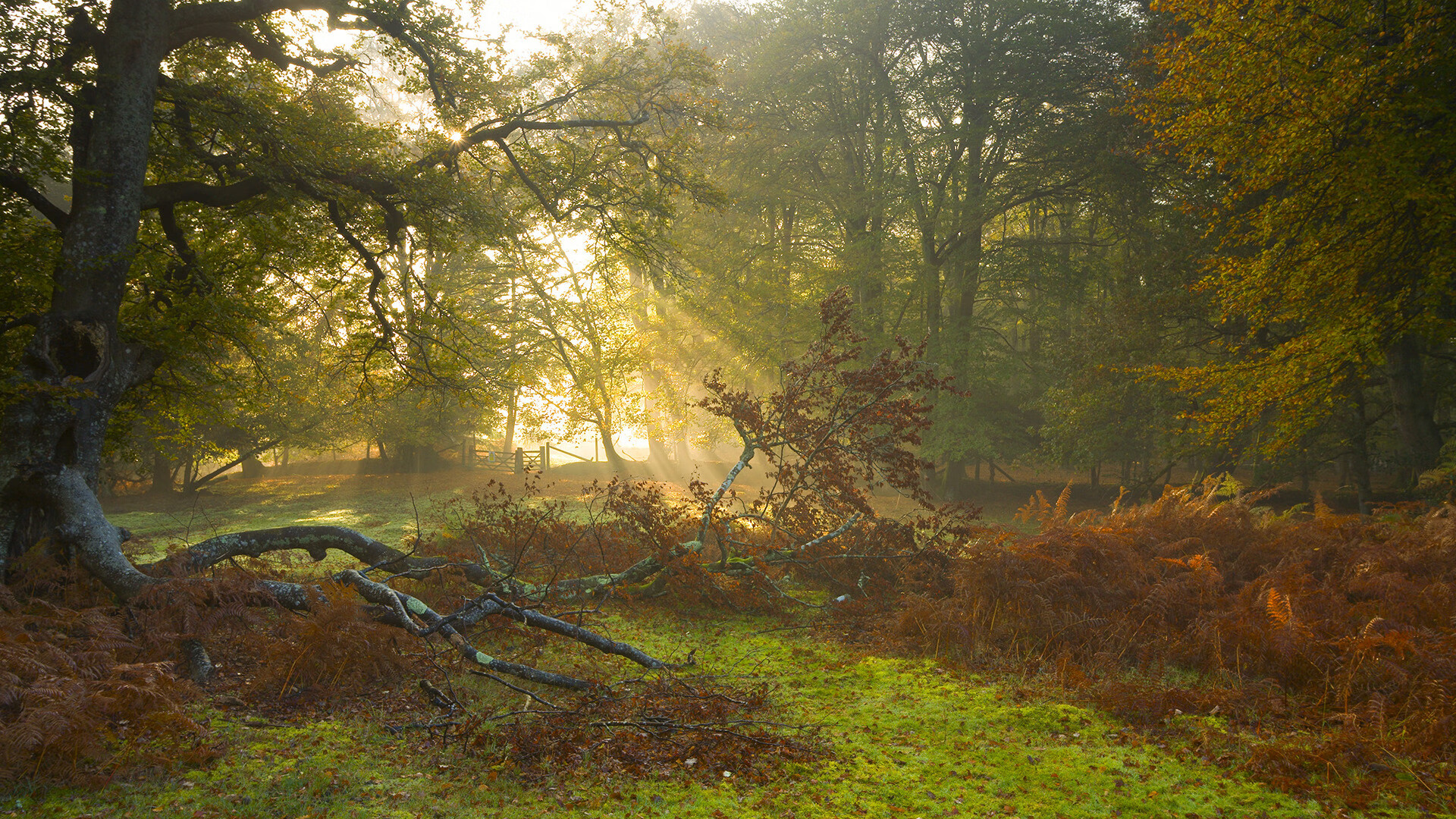 红土史诗与硬地终章,当辛纳点燃新旧王座的烽火