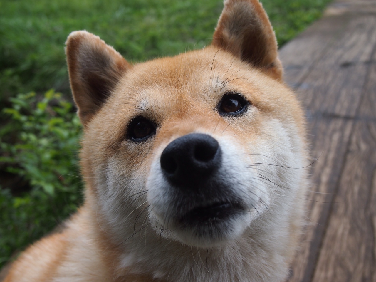 蓝与白的对峙,数字、呐喊与隔网相望的深渊