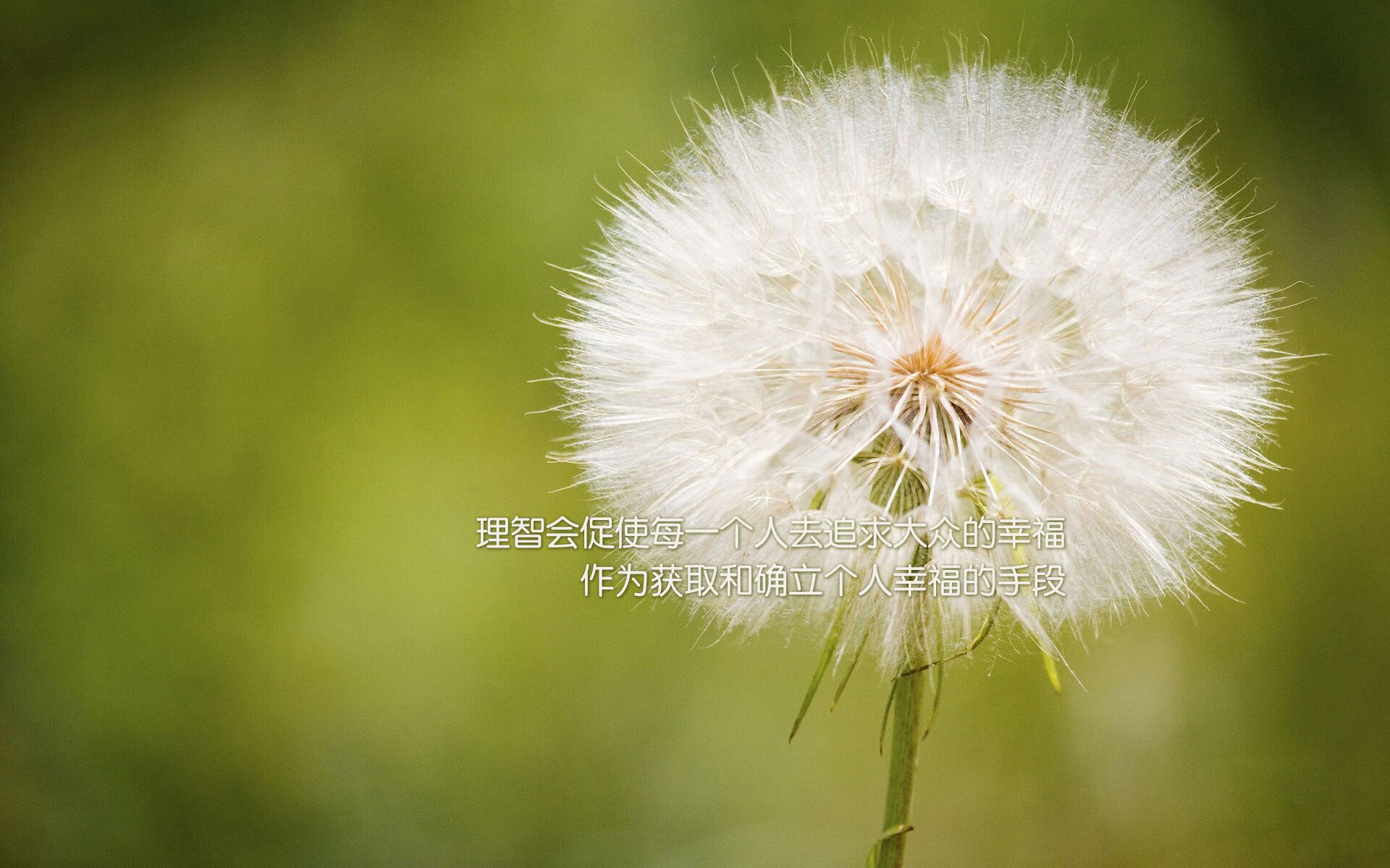 黄鸭组合改写时代，当法国羽球利剑刺穿印尼王朝最后防线