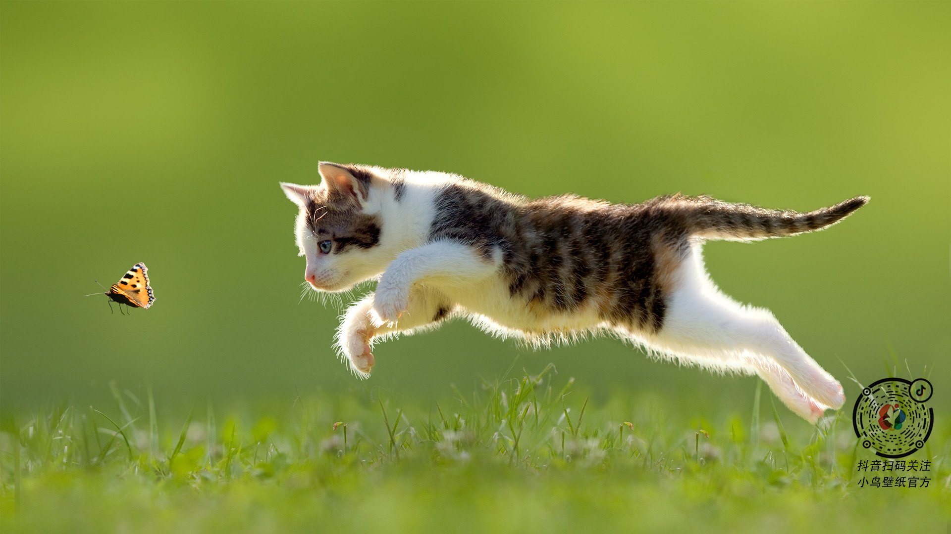 红银鏖战，阿隆索单骑破阵，勒芒惊雷震撼四座