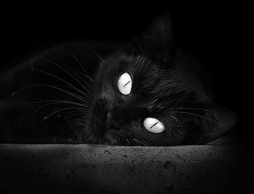 狭路相逢冰刀出鞘,奥恰洛夫率奥地利队撕裂蓝色长城