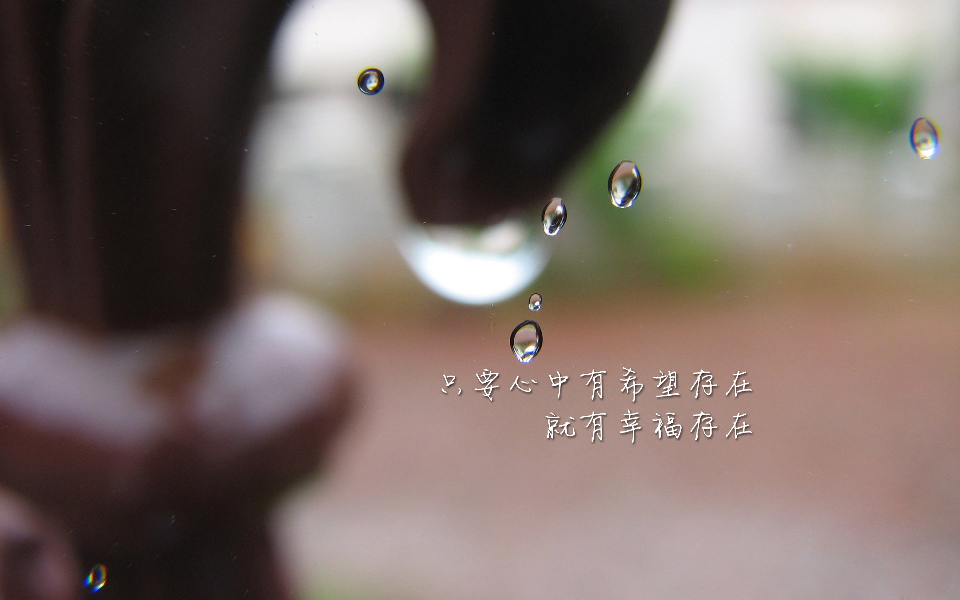铁闸与弯刀的对话,关键先生范戴克难阻北非风暴,阿尔及利亚末段一波流带走伊朗