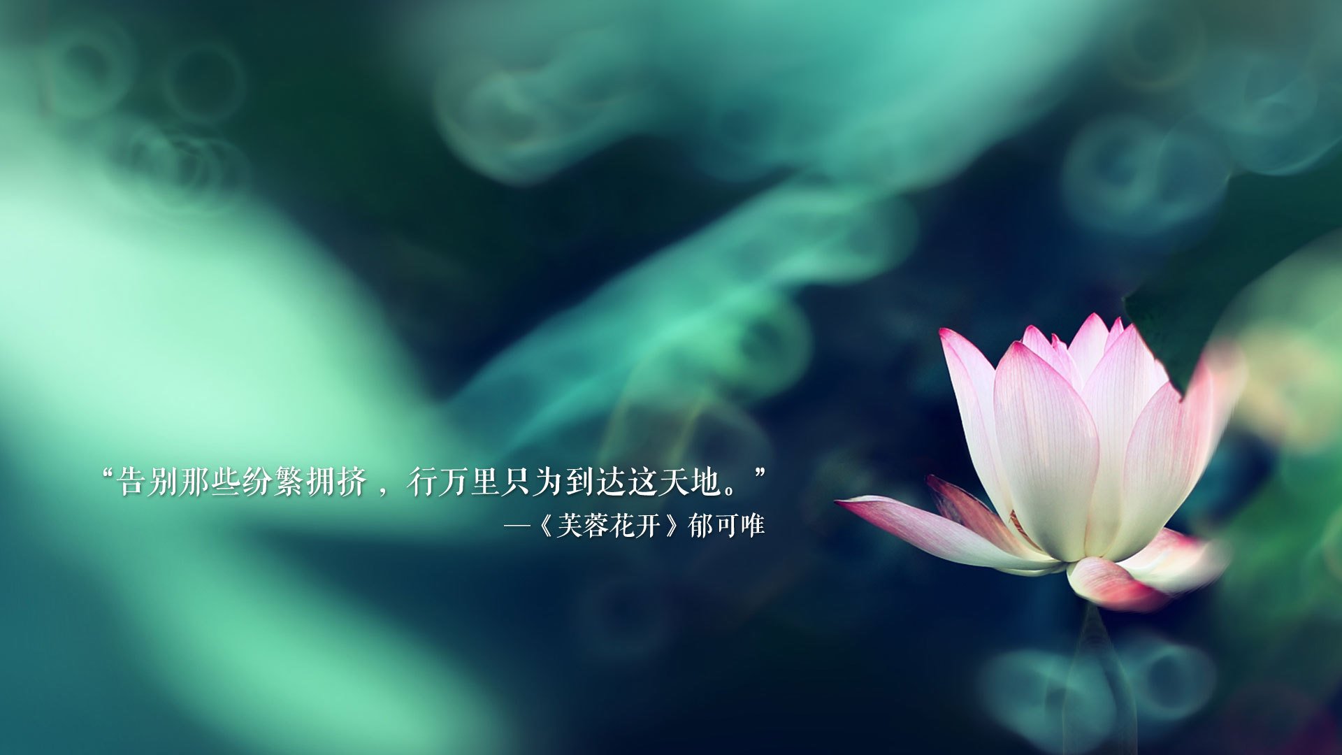 用实力说话!德里赫特一夫当关成国米防线定海神针