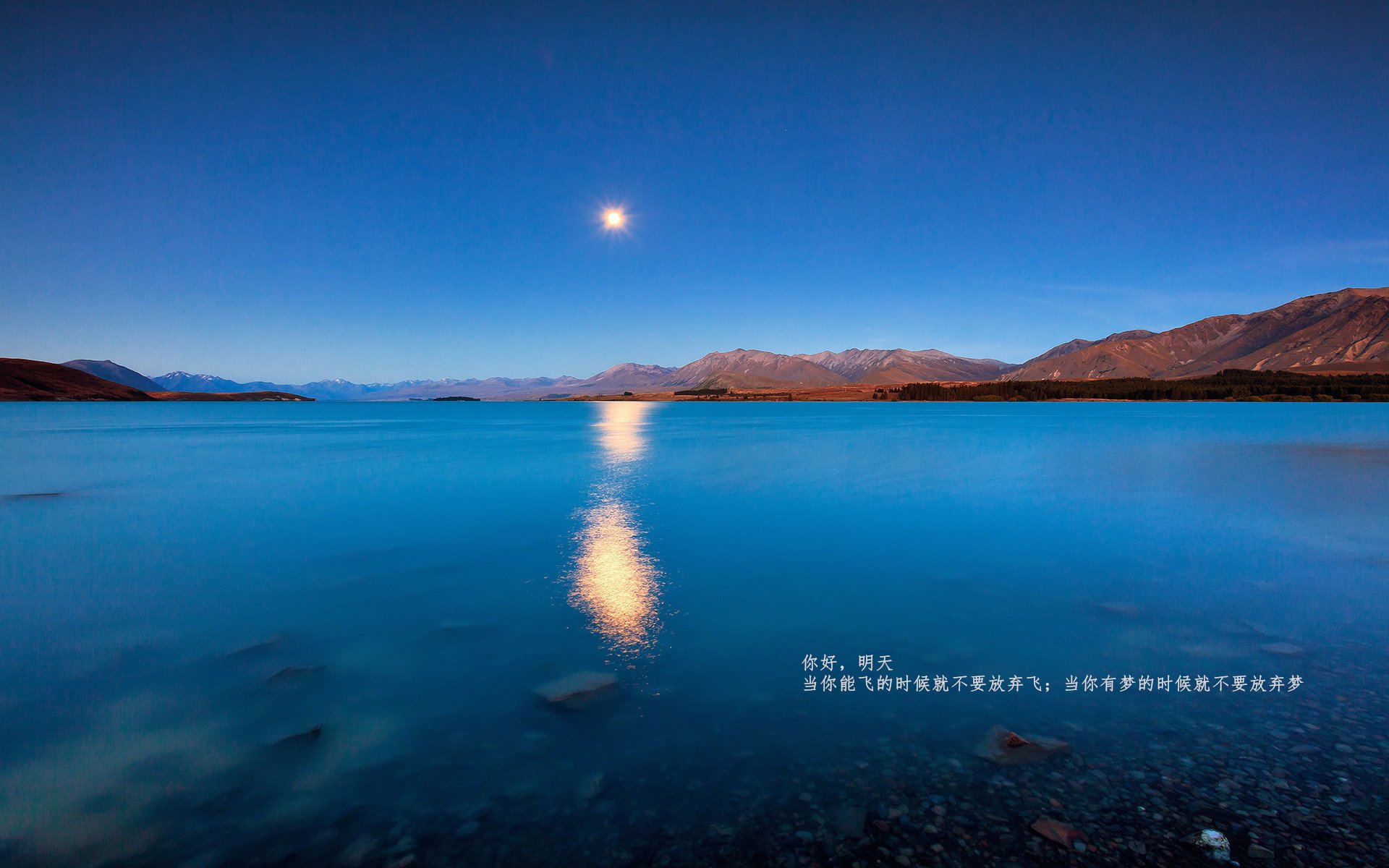 平行宇宙的竞技场，当F1争冠硝烟遇上拉齐奥的南十字星风暴