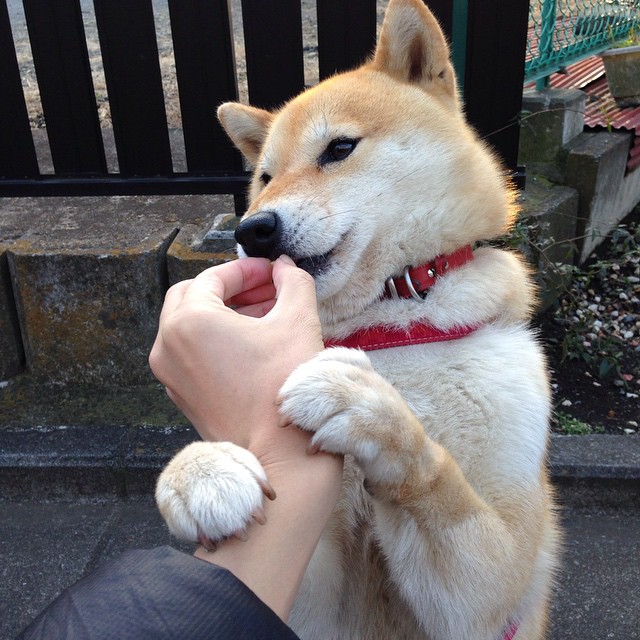 末节惊雷！爱德华兹化身冰火双星，广厦绝地逆转碾碎辽篮