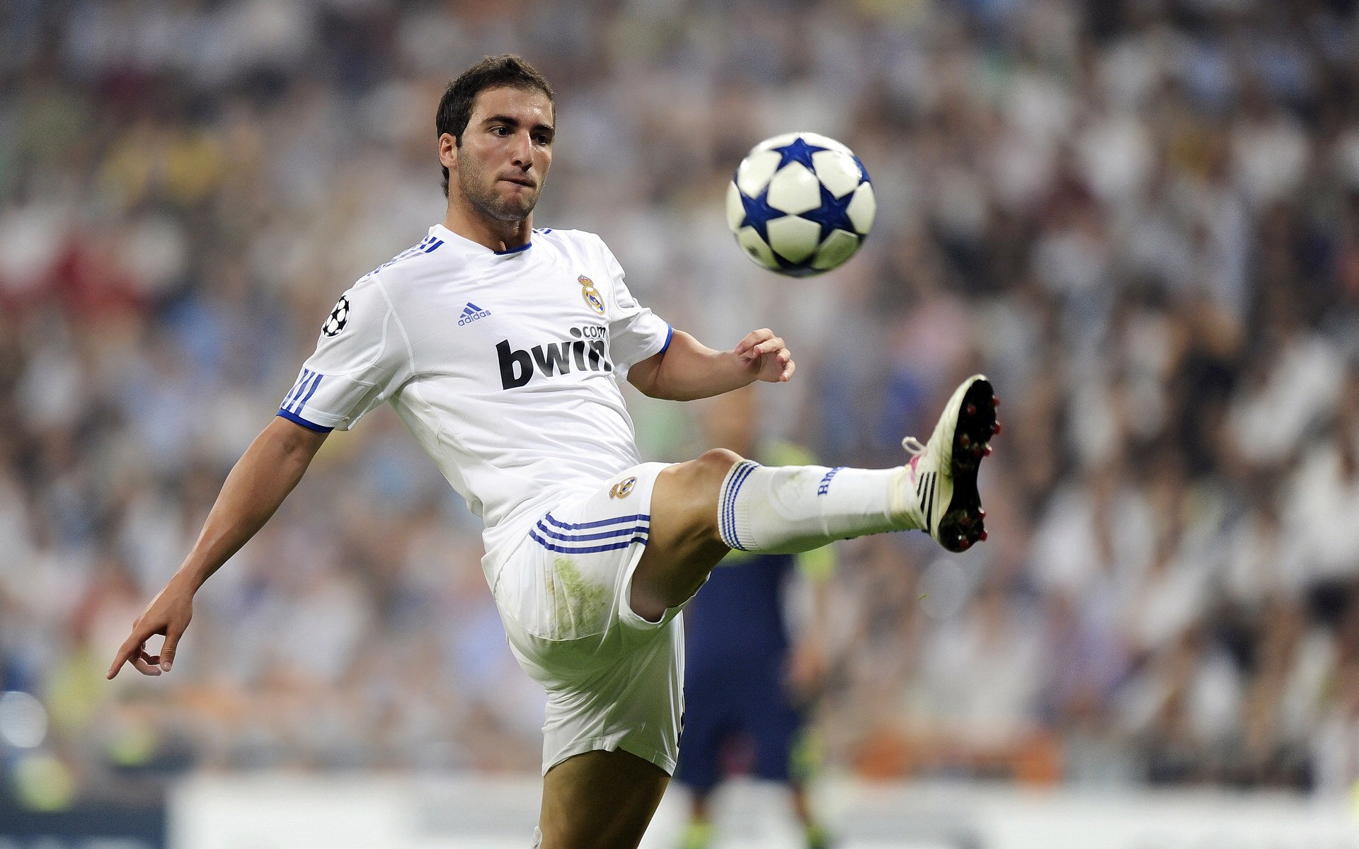 铁血末节,荣耀之光,布鲁诺爆发助墨西哥绝境带走厄瓜多尔