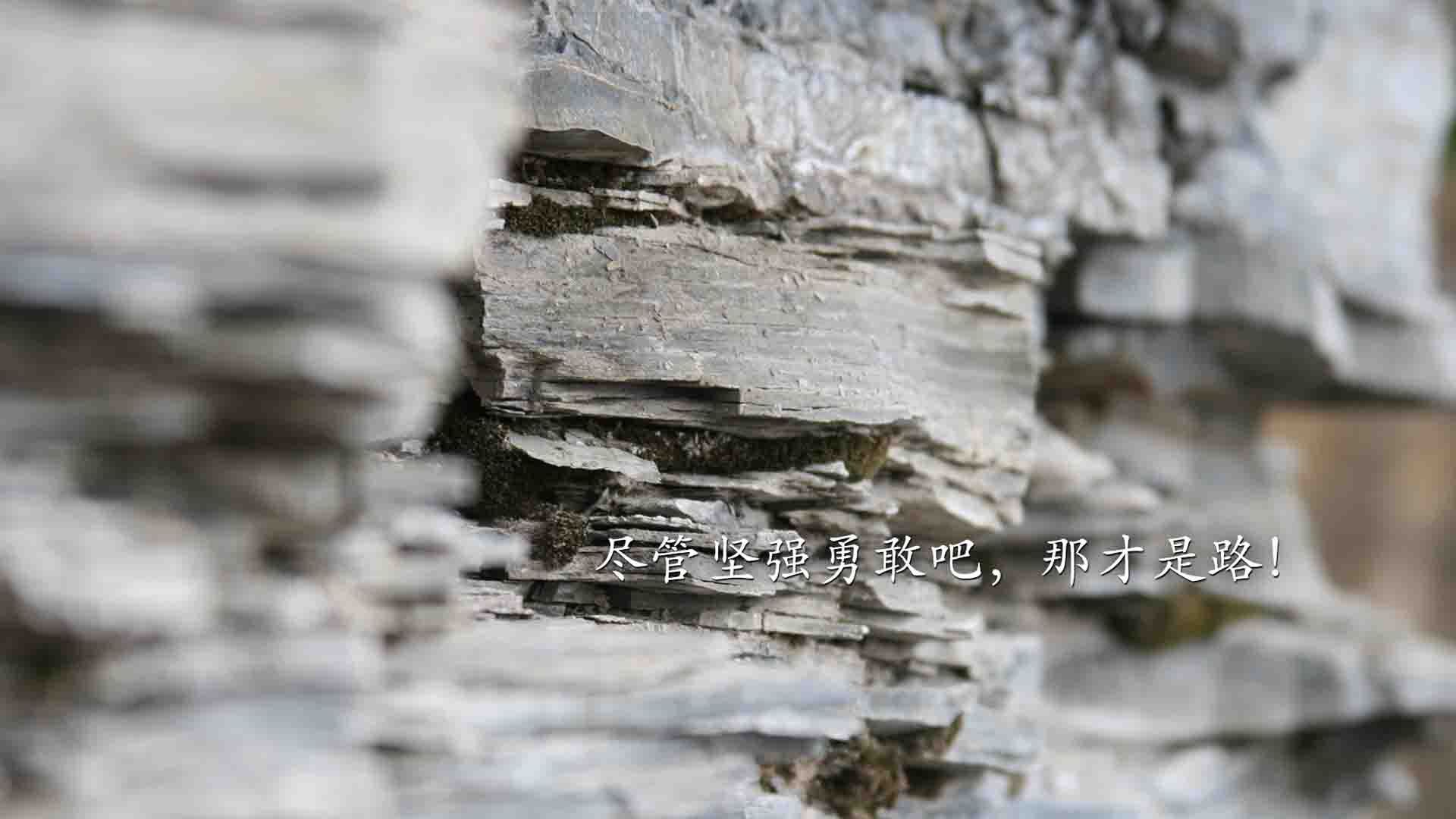 北欧风暴逆转北非铁骑，C罗绝命一击，瑞典在2026世界杯四分之一决赛上演神迹翻盘