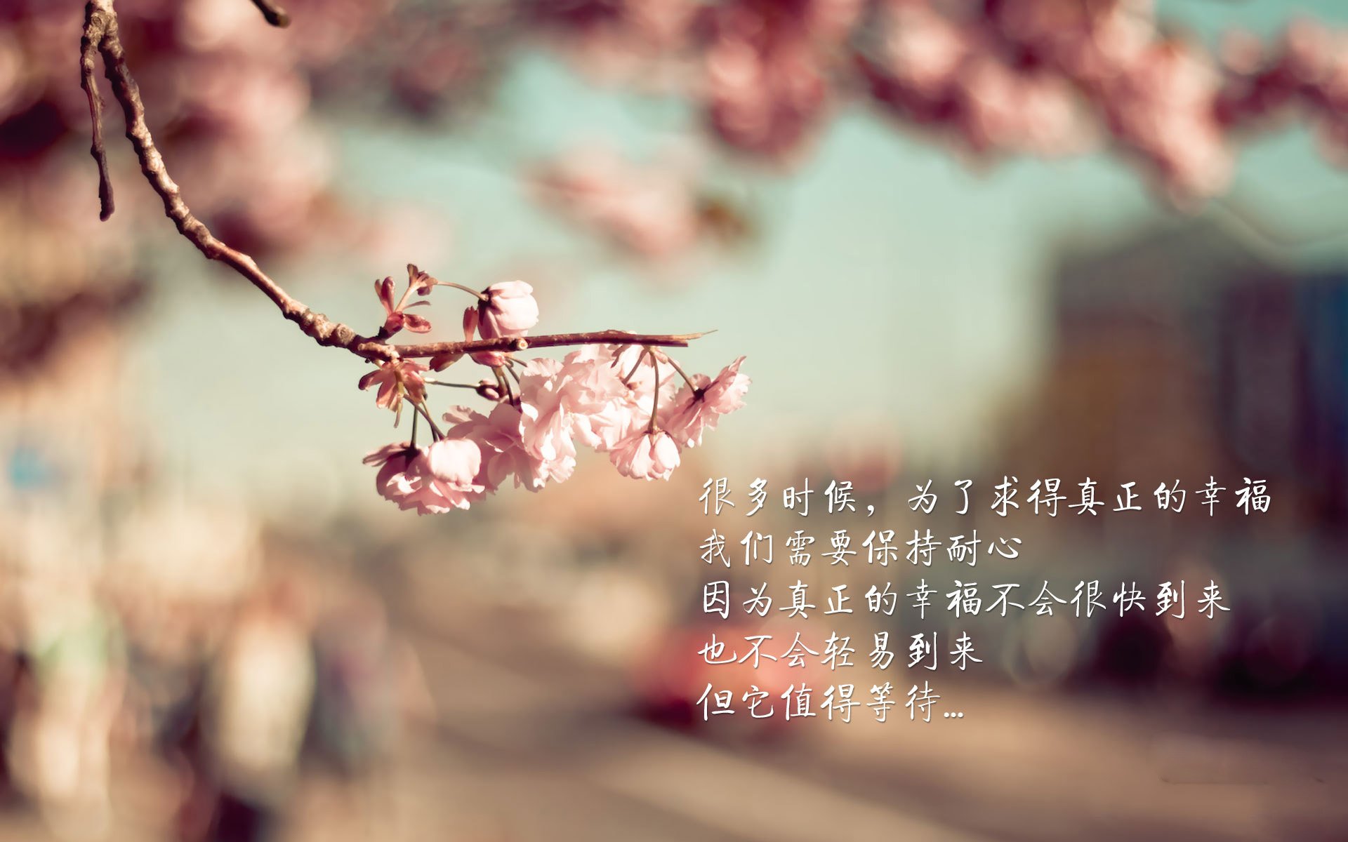 烽火B组，波兰铁骑踏破波斯防线，塔雷米以一人之光照亮默契新篇章